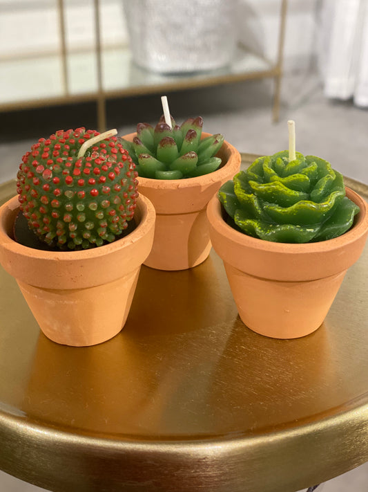 Succulent Candles (Set of 3) with Pots
